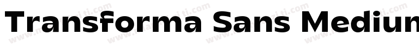 Transforma Sans Medium字体转换